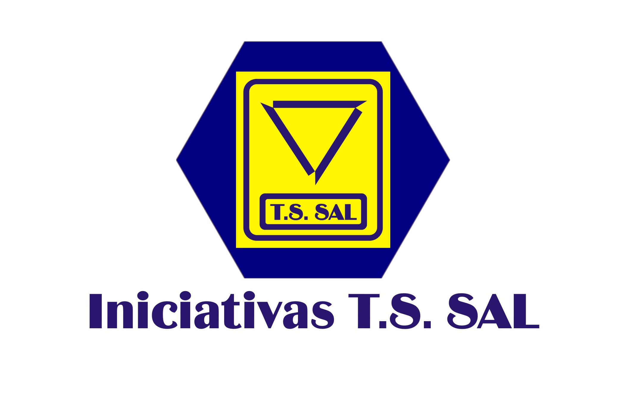 Apresentao Iniciativas T.S. SAL